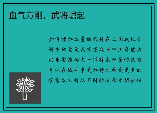 血气方刚，武将崛起